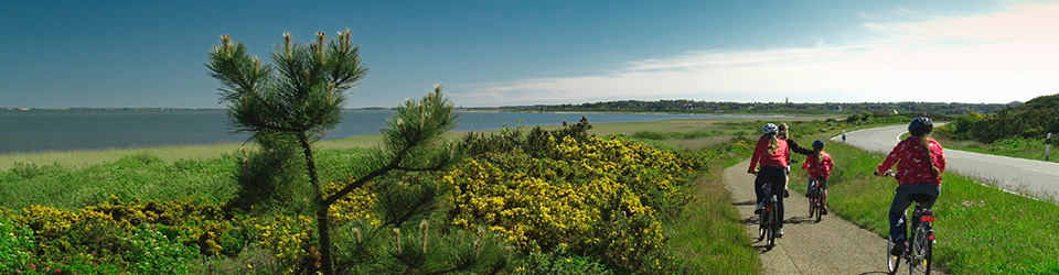 Private Führungen mit Silke v. Bremen auf Sylt